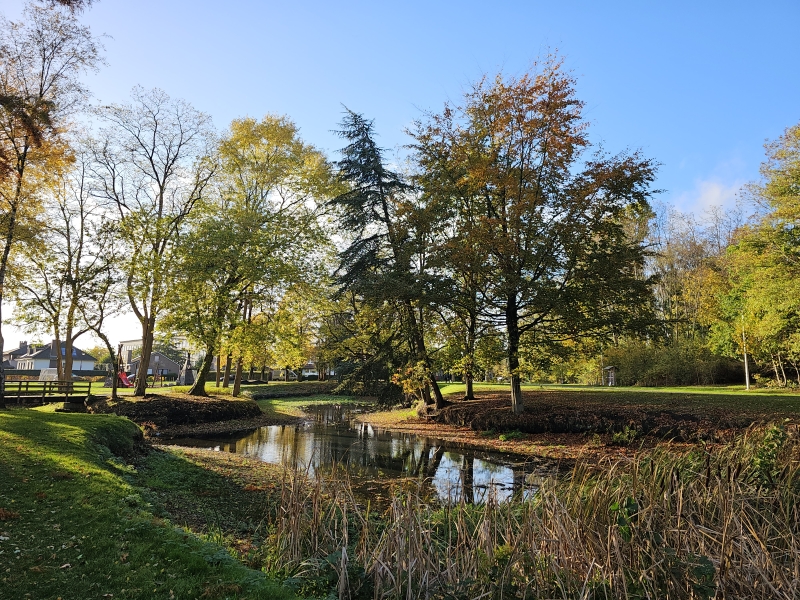 Wandeling langs Prinses Josephine-Charlotte park, Park Ter Beuken, Burgemeester Raemdonckpark, Park Verloren Bos, Bospark en de Buylaers in Lokeren
