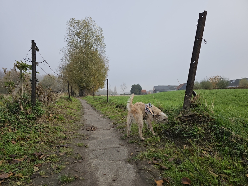 Wandeling langs trage wegen door de natuur in Wolvertem