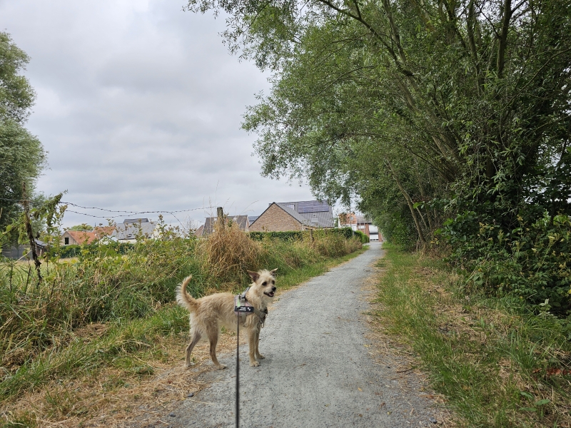 Wandeling langs trage wegen en Samentuin Rossevelt in Lebbeke