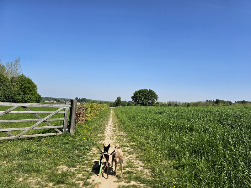 Wandeling met uitzicht in Oppem, Vlaams-Brabant