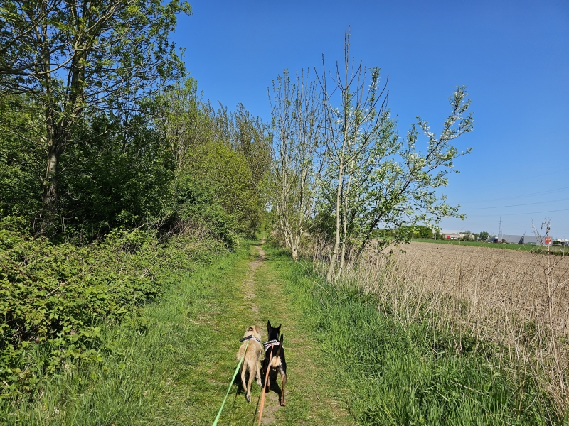 Wandeling naar Ertbrugge in Deurne en Wijnegem in Antwerpen