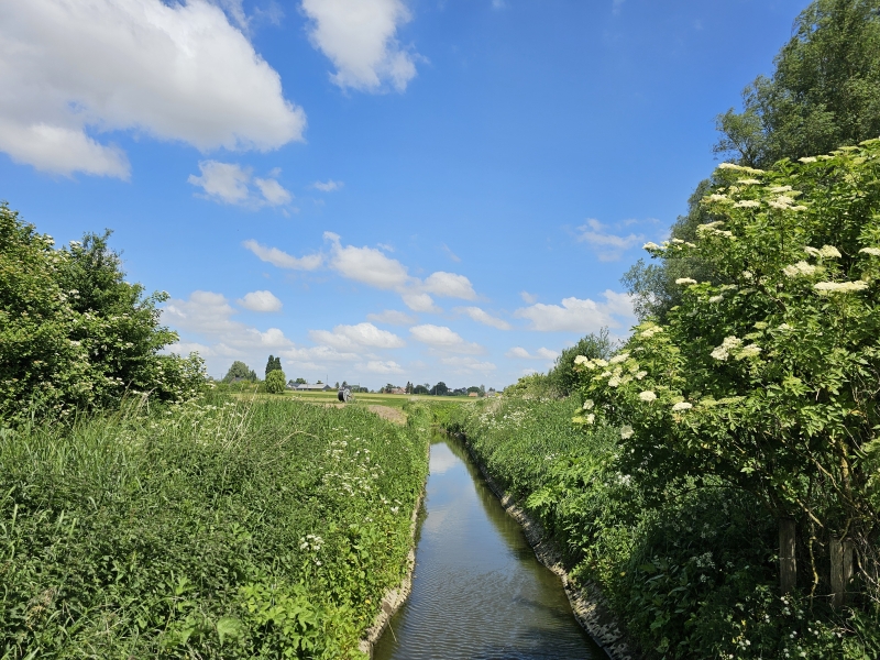 Wandeling Rhodesgoed in Krachtem