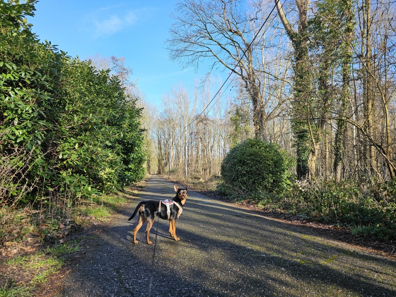 Wandeling Sint-Katelijne-Waver