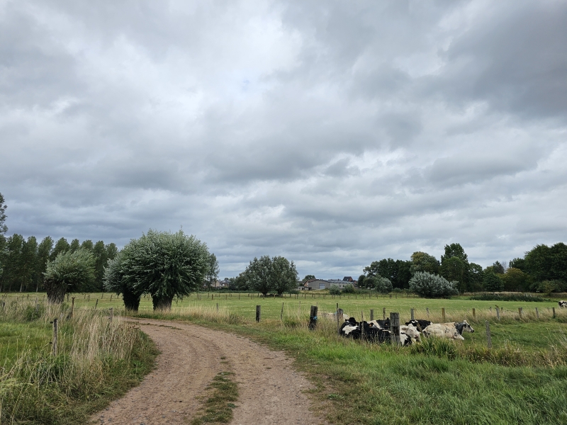 Wandeling tussen de velden in Denderbelle Wandeling tussen de velden in Denderbelle