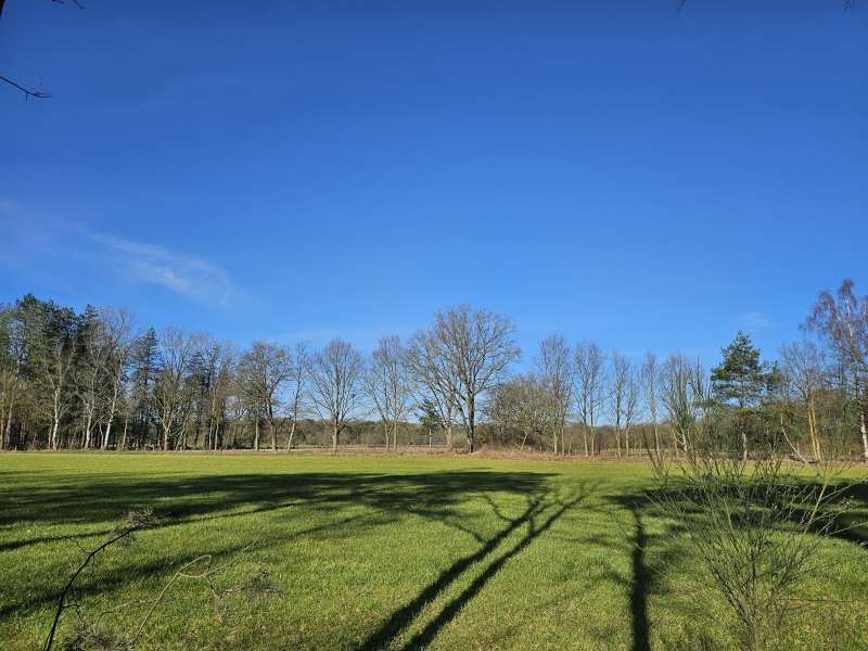 Wandeling Visbeekvallei met hond Wandeling Visbeekvallei met hond