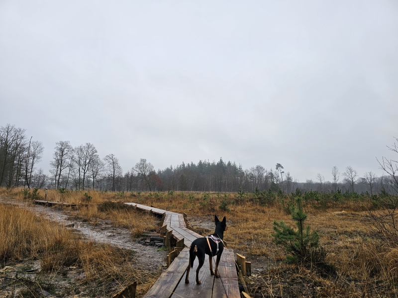 Wandelingen in Aalter met vlonderpad Wandelingen in Aalter met vlonderpad