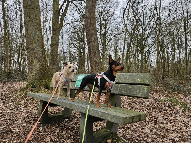 wandelingen londerzeel