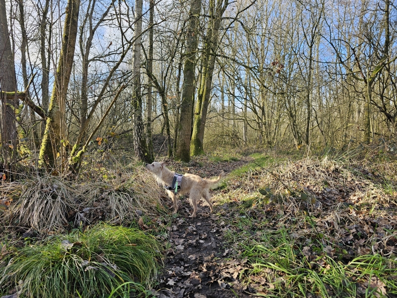 wandelingen rond Zemst