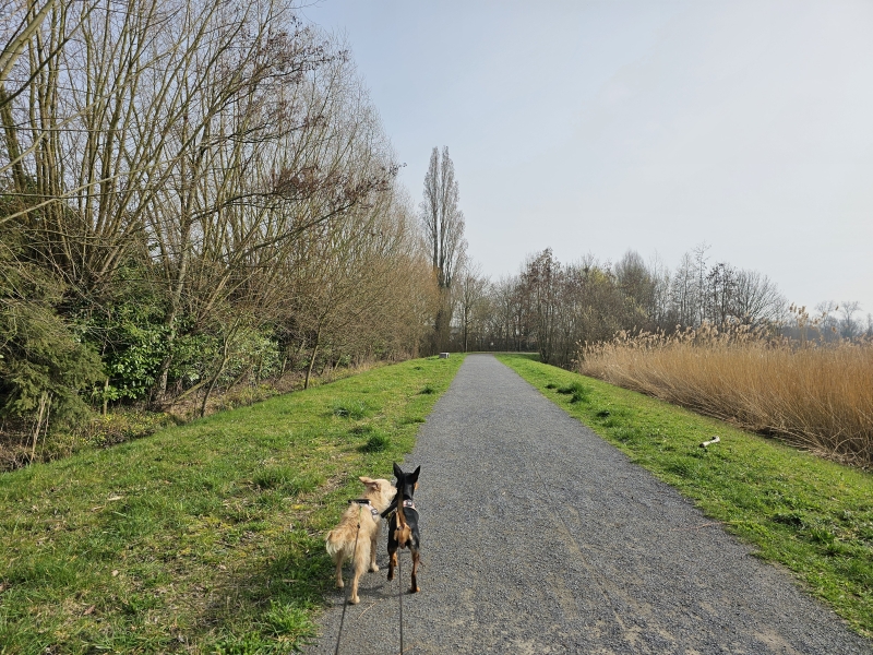 Wandelpad Jutse Plassen Koningshooikt Lier