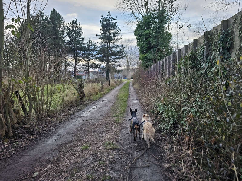 Wandelroute 17 km Waverwoud