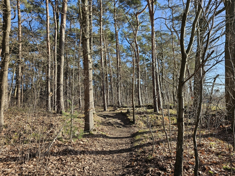 Wandelroute Boortmeerbeeks Broek