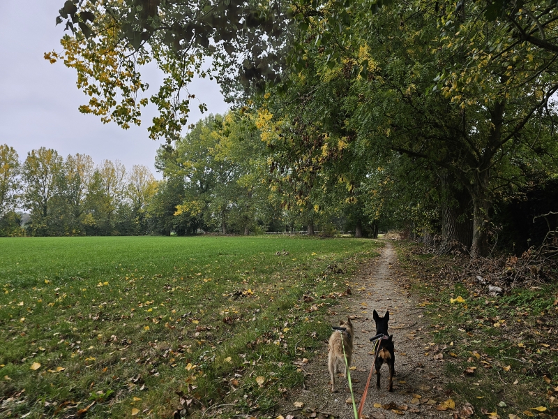 Wandelroute Borsbeek langs het Fort Wandelroute Borsbeek langs het Fort