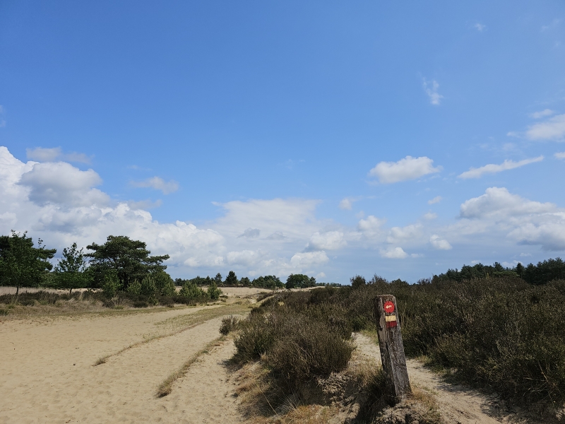 Wandelroute de Mier in de Kalmthoutse Heide in Putte, Nederland