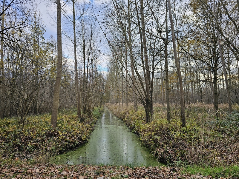 Wandelroute door de natuur in Bornem