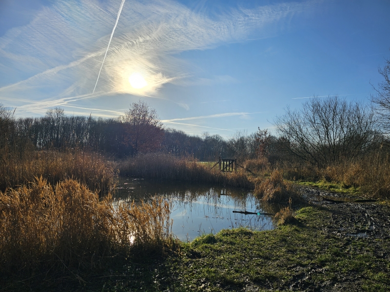 Wandelroute door de Oude Landen en het Veltwijckpark in Ekeren