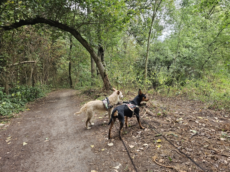 Wandelroute Eksaarde Kruiskapel De Linie