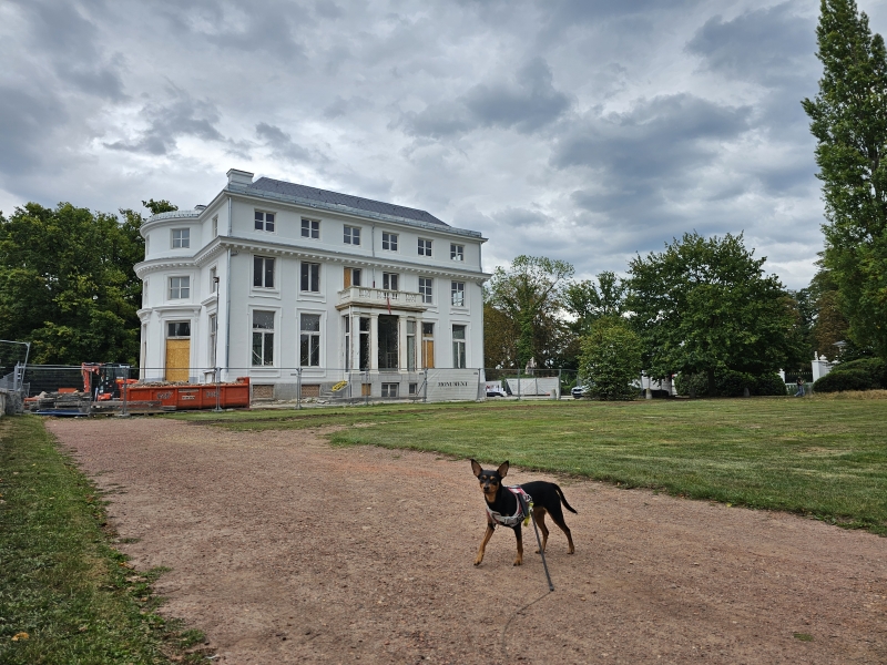 Wandelroute Hof ter Linden en Fort 5 in Edegem met honden