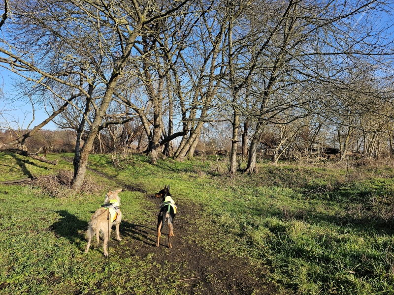 Wandelroute in Ekeren