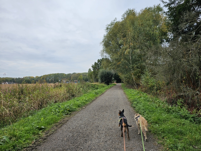 Wandelroute in Liezele rond het Fort Wandelroute in Liezele rond het Fort