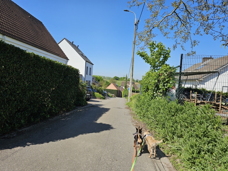 Wandelroute in Meise