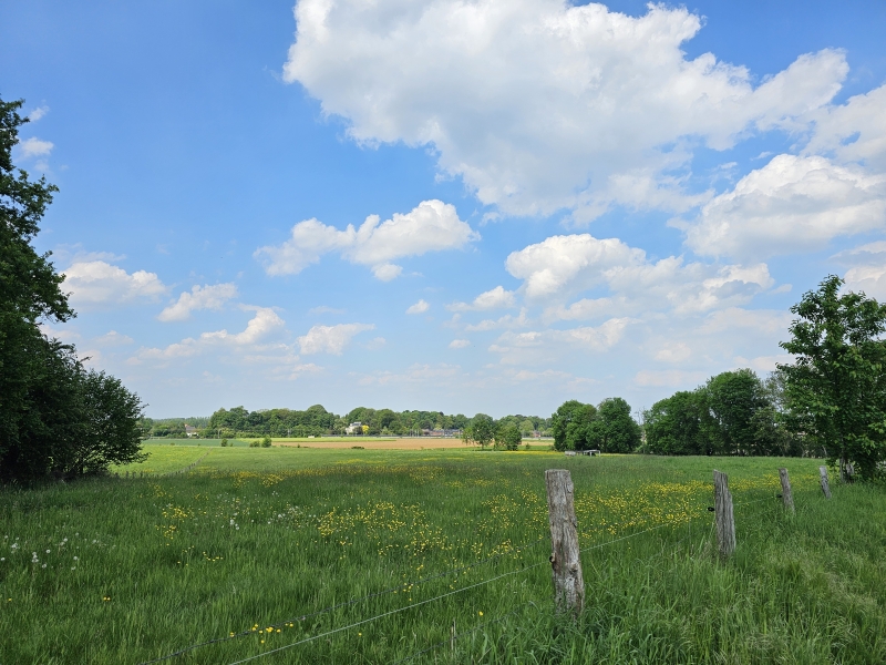Wandelroute in Winksele, Herent langs trage en holle wegen door de natuur Wandelroute in Winksele, Herent langs trage en holle wegen door de natuur