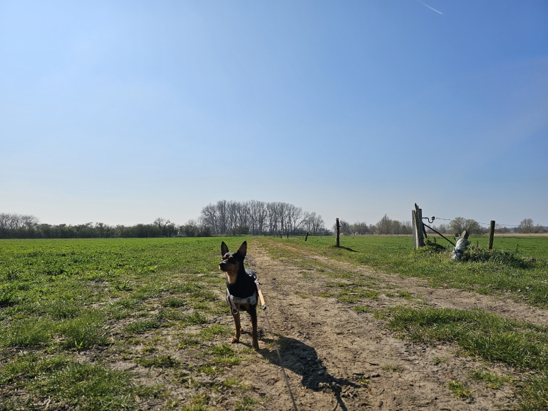 Wandelroute Kieldrecht
