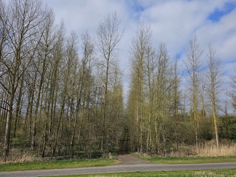 Wandelroute langs Grembergen Broek en het Groot Schoor in Grembergen