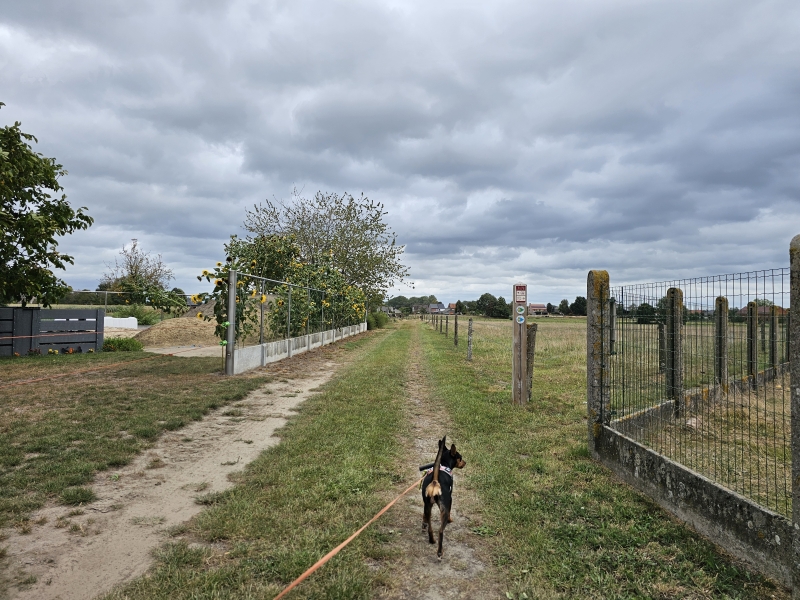 Wandelroute langs trage wegen in de Denderstreek met hond Wandelroute langs trage wegen in de Denderstreek met hond