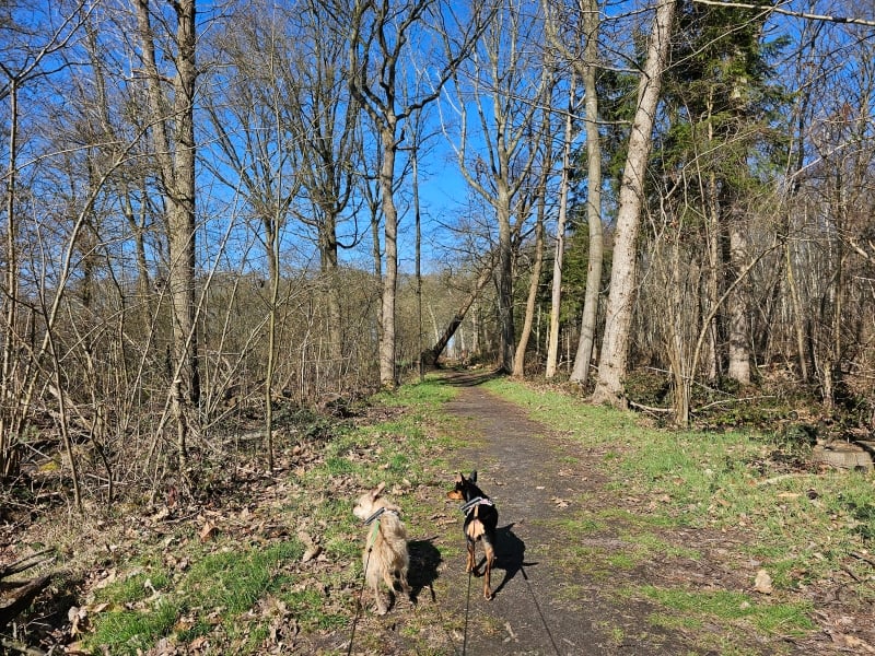 Wandelroute Maldegem Burkel Torrebos Wandelroute Maldegem Burkel Torrebos