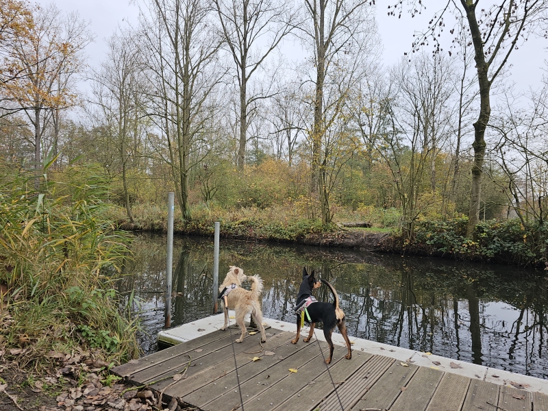 Wandelroute op en rond het domein Puyenbroeck in Wachtebeke