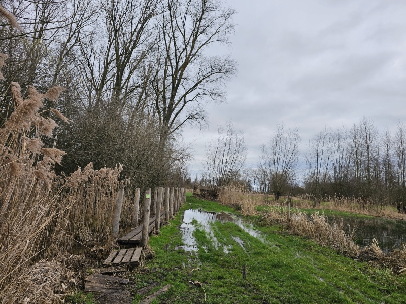 Wandelroute over vlonderpaden in Destelbergen Damvallei