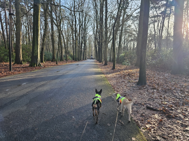 Wandelroute Park en Peerdsbos Brasschaat via wandelknooppunten met hond