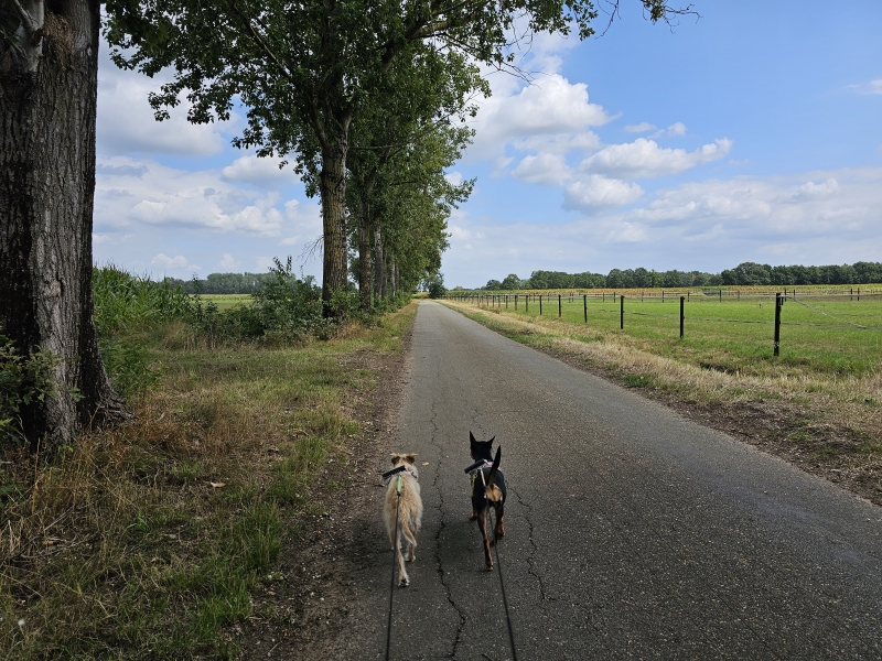 Wandelroute Poederlee