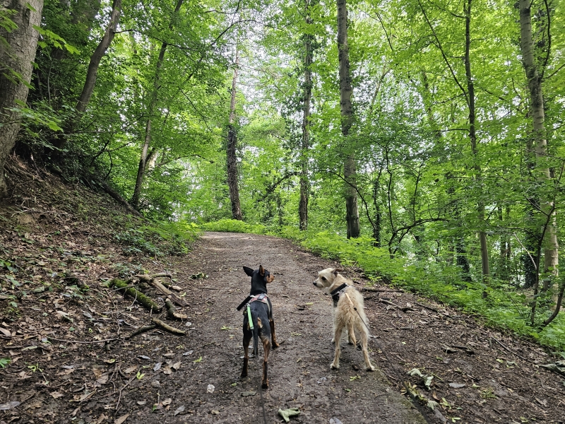 Wandelroute Vilvoorde park drie fonteinen