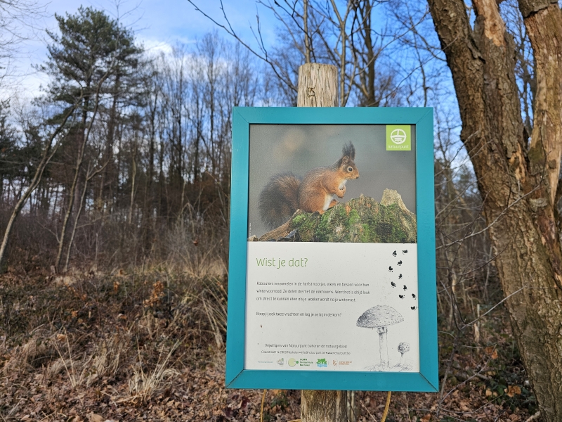 Wandelroute voor kinderen: opdrachten in de Hondsbossen in Sint-Katelijne-Waver