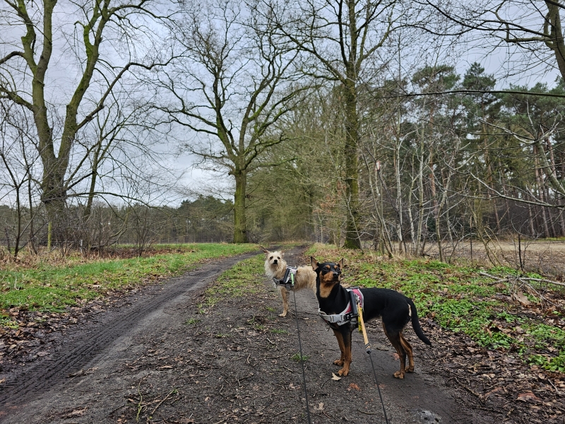 Wandelroute Vorselaar Schulpleer Graafweide Wandelroute Vorselaar Schulpleer Graafweide