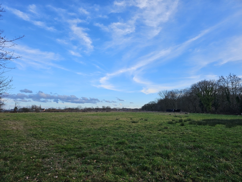 Wandelroute Waverwoud 17 km met hond