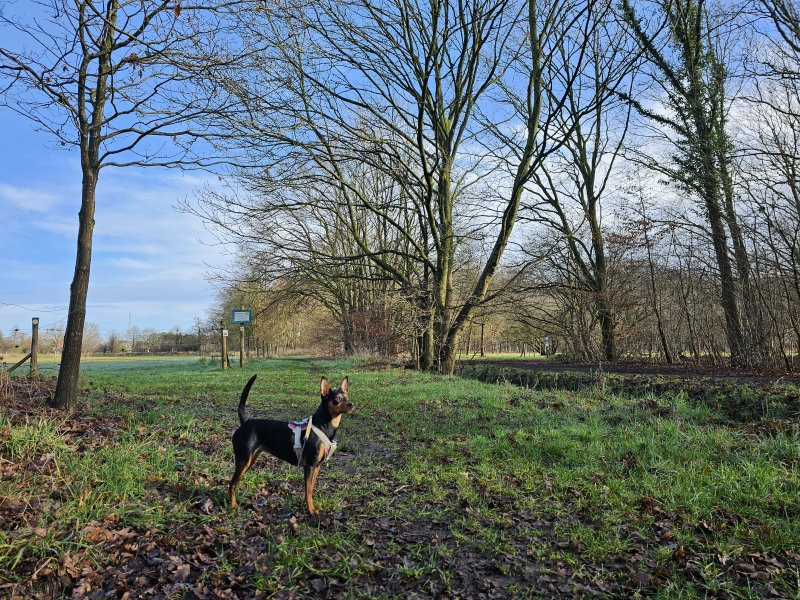 Wandelroute Waverwoudpad parkeren