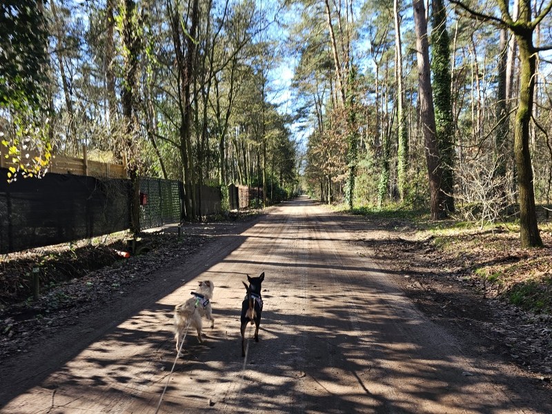 Wandelroute Wechelderzande Wandelroute Wechelderzande