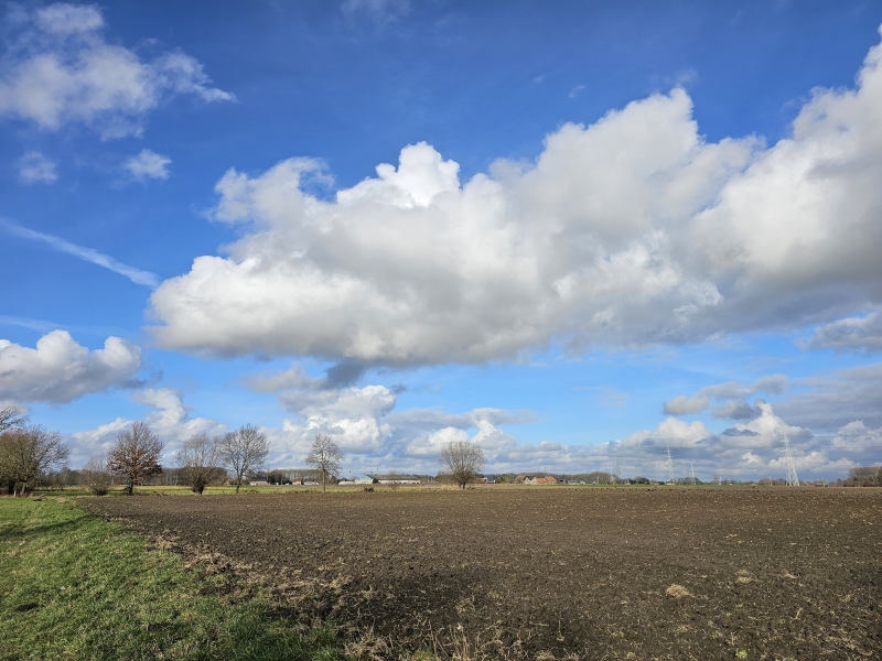 Wandelroute Zemst Bos van Aa Kollinten