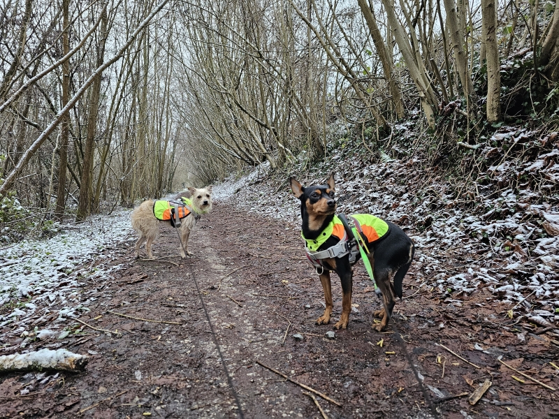 Wandelroutes Denderleeuw Wellemeersen in Welle