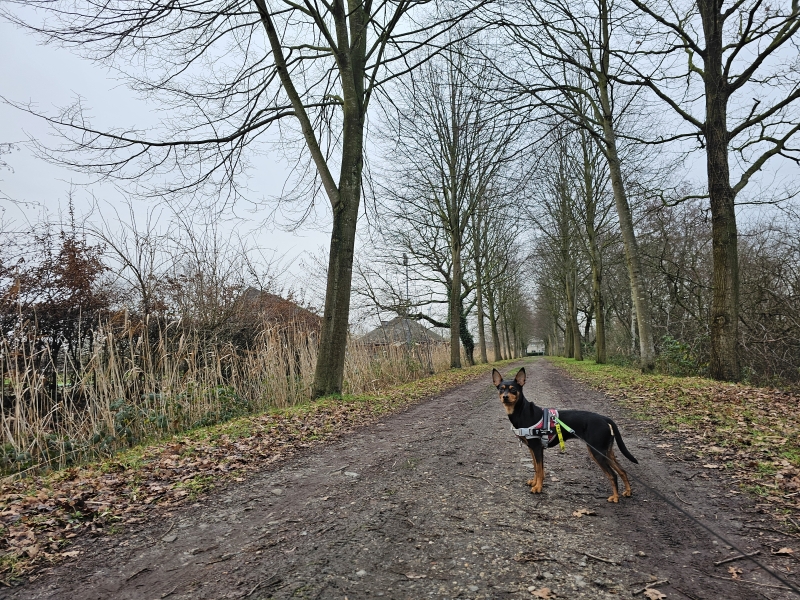 Wandelroutes in Bornem langs het sportcomplex Breeven
