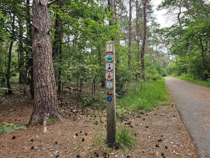 Wandelroutes kattebos Lommel