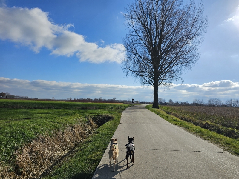 Wandelroutes Lembeke