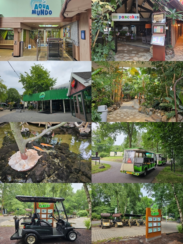 Wat is er te doen in de Huttenheugte in Drenthe