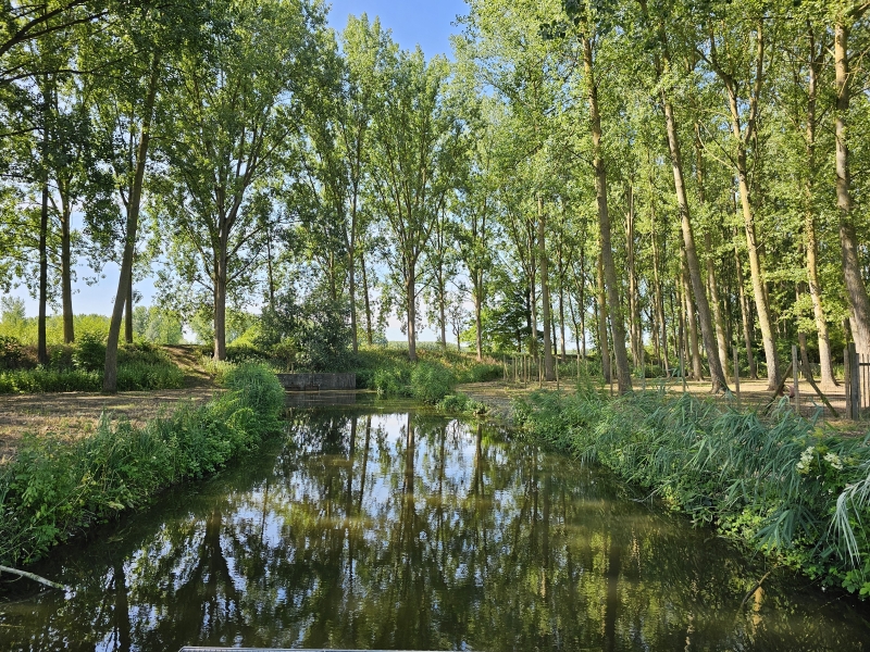 Water naast het hondenbos in Hamme