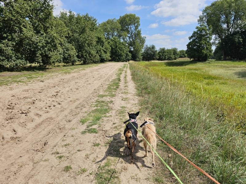 Waterwinbossen Stekene
