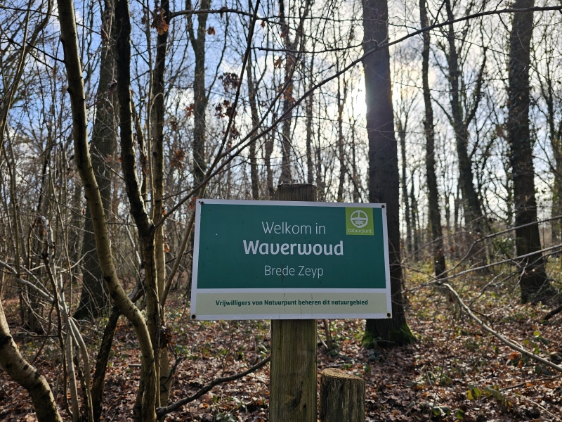 Waverwoud Sint-Katelijne-Waver