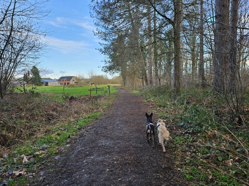 Waverwoudpad Gasthuisbossen wandeling