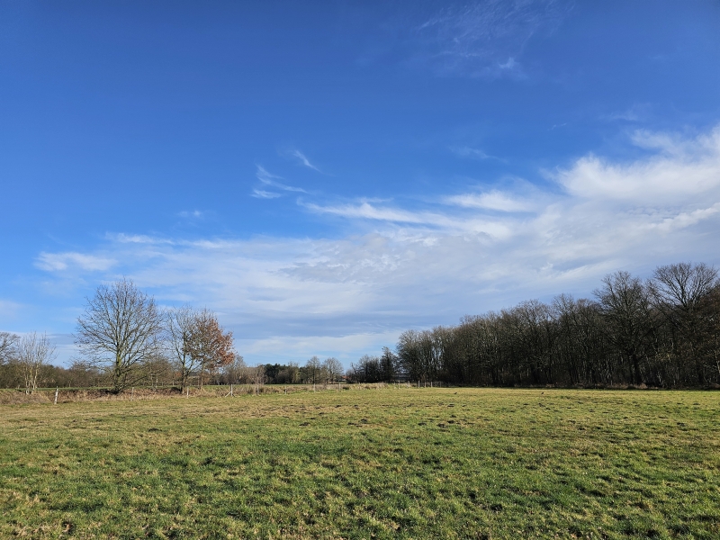 Waverwoudpad wandelroute Sint-Katelijne-Waver